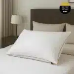 بالشت طبی مدل Ritz